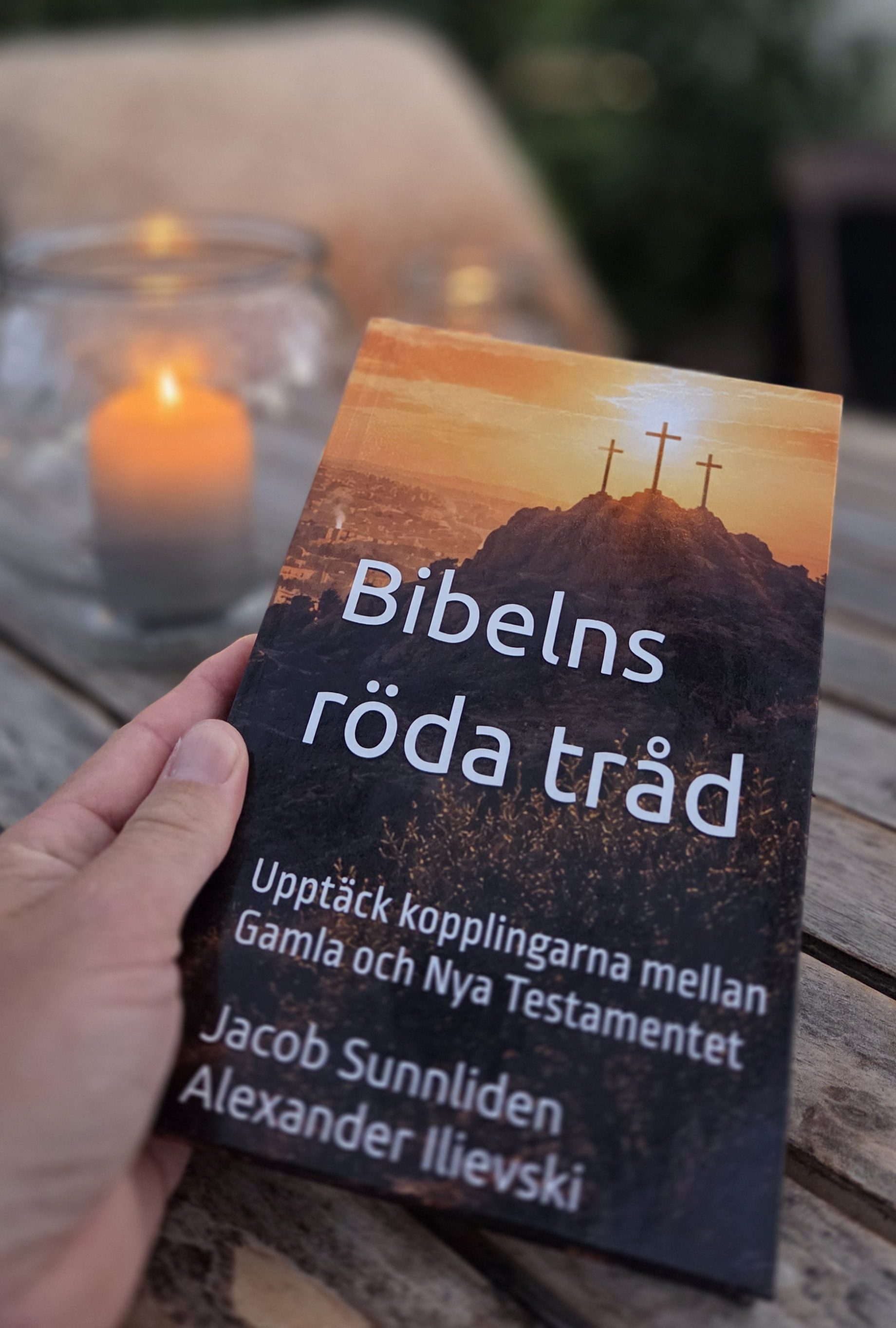 Boken Bibelns röda tråd
